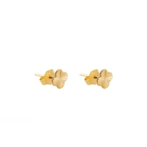 گوشواره ونکلیف تراش